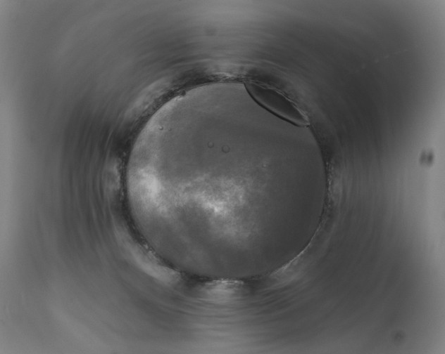 X0000111220128200907161302