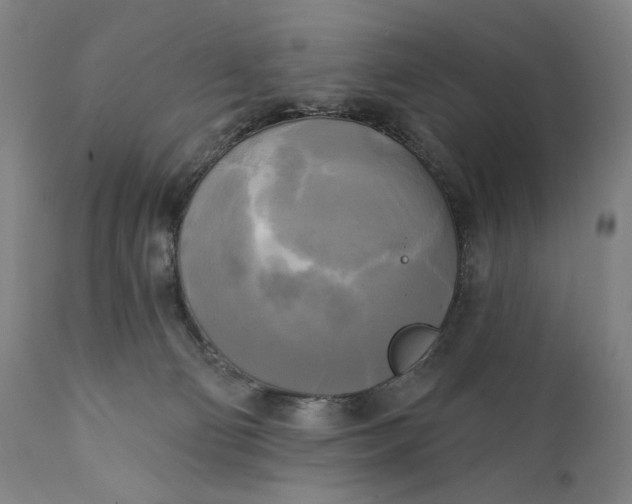 X0000111220130200907161302