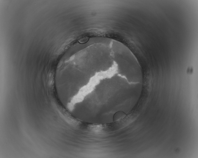 X0000111220131200907161301
