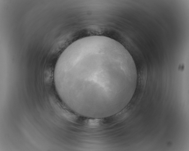 X0000111220134200907161301