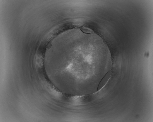 X0000111220136200907161301
