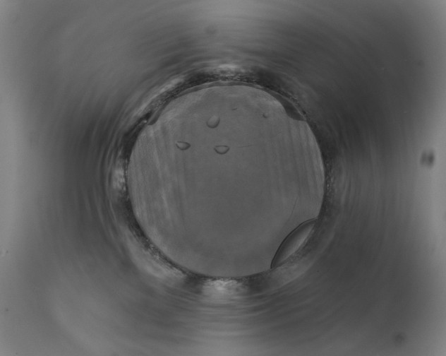 X0000111220137200907161301