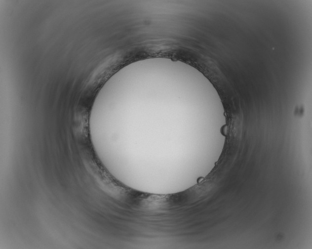 X0000111220138200907161301