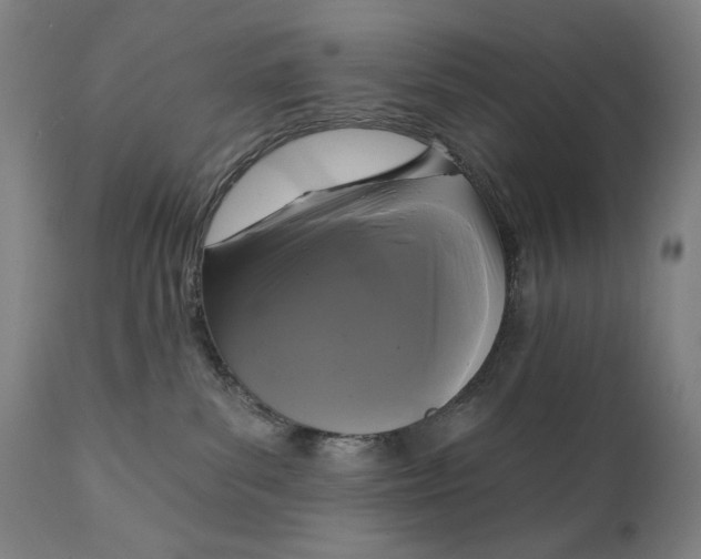 X0000111220139200907161301