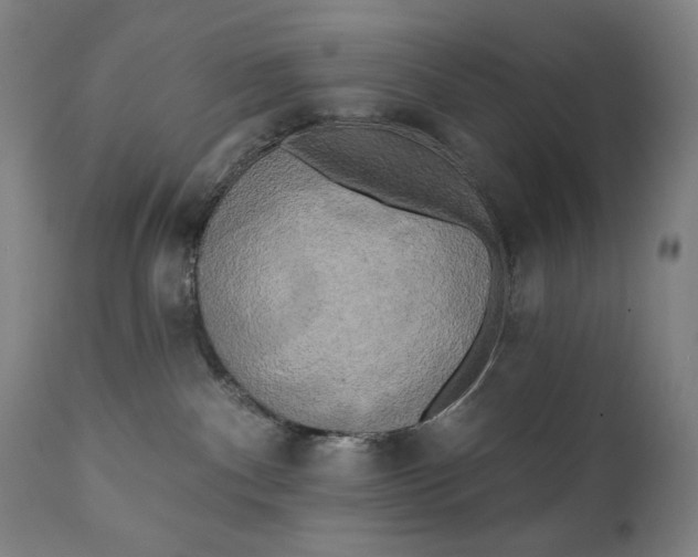 X0000111220140200907161301