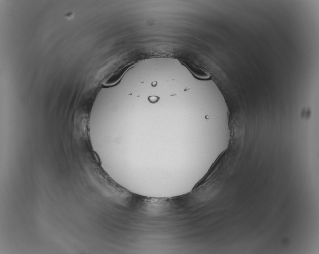 X0000111220141200907161301