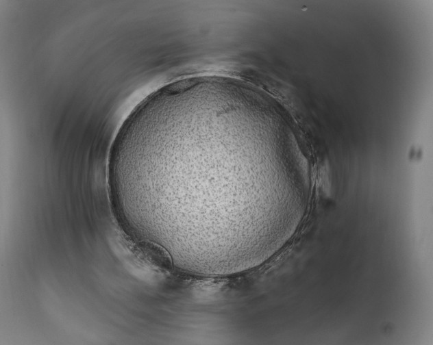 X0000111220148200907161301