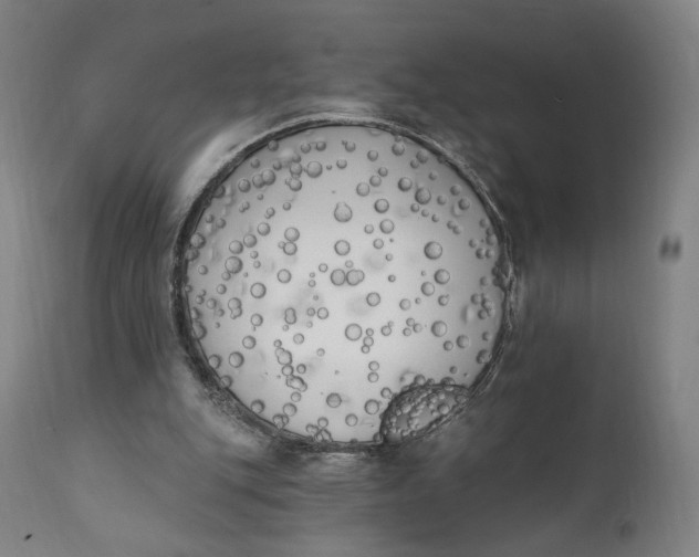 X0000111220151200907161301
