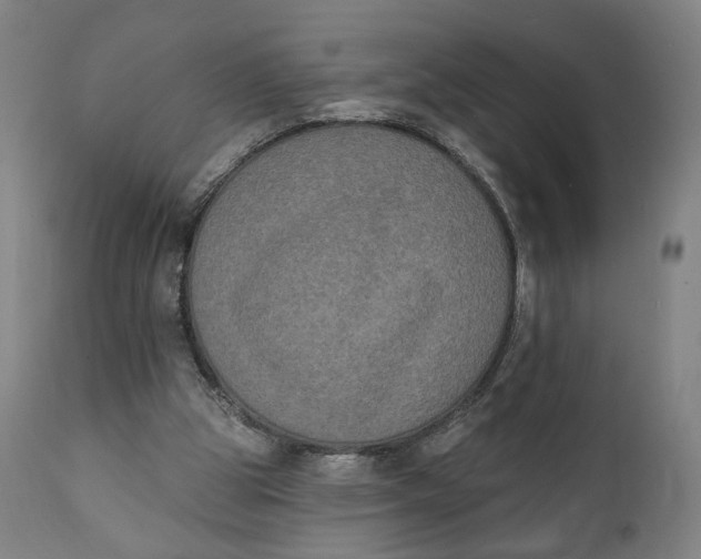 X0000111220153200907161301