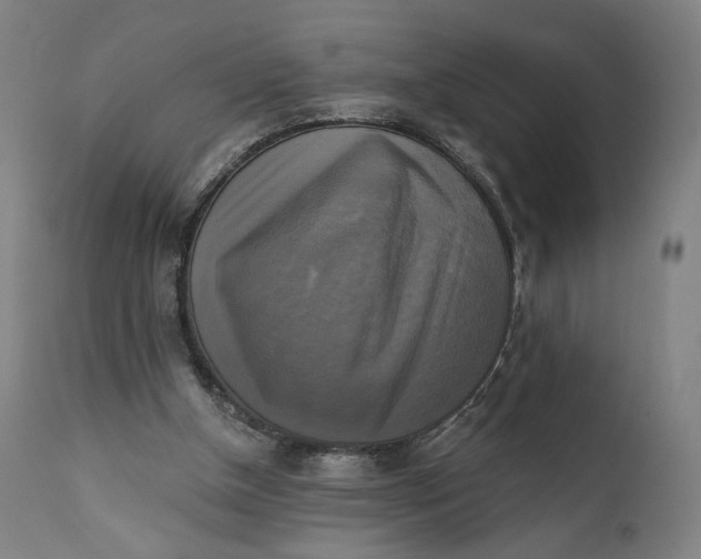 X0000111220154200907161301