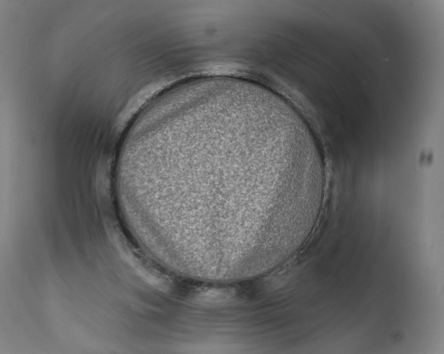 X0000111220155200907161301