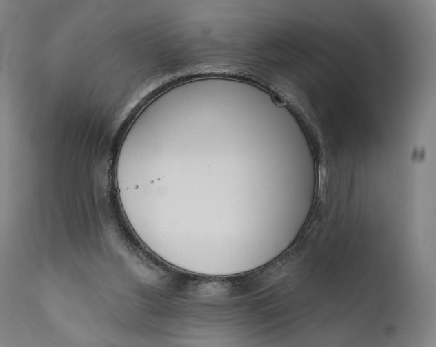 X0000111220156200907161301