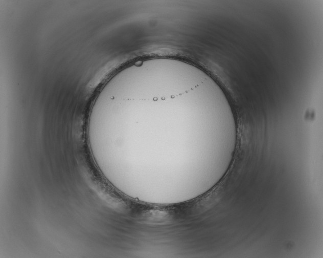 X0000111220159200907161301