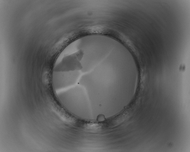 X0000111220161200907161301
