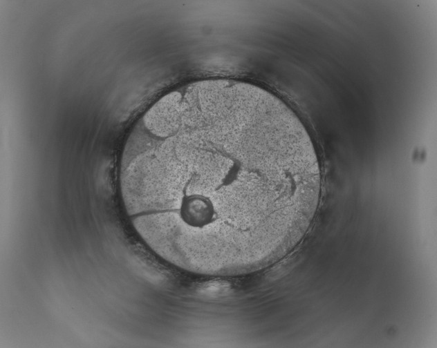 X0000111220162200907161301