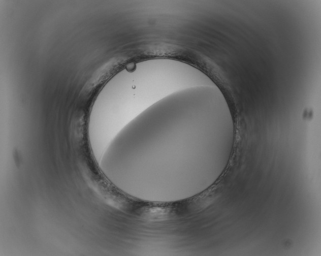 X0000111220163200907161301