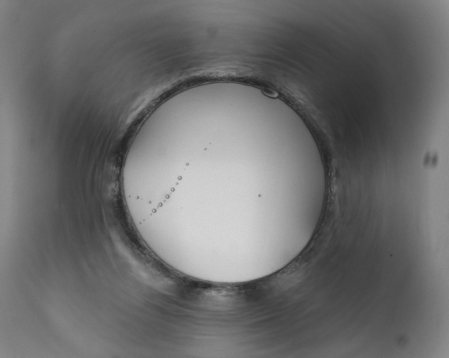 X0000111220164200907161301