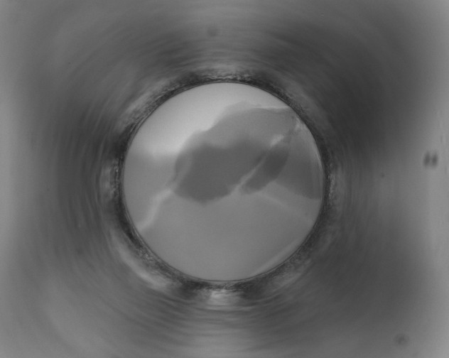 X0000111220165200907161301