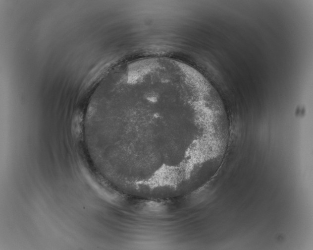 X0000111220166200907161301