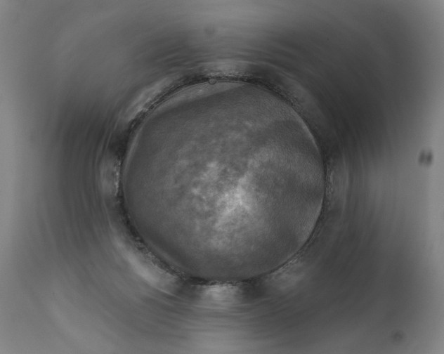 X0000111220168200907161301