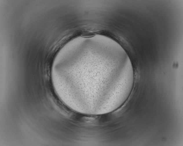 X0000111220170200907161301