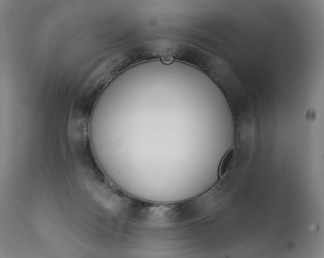 X0000111220172200907161301