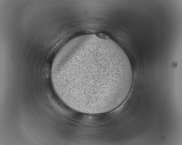 X0000111220174200907161301