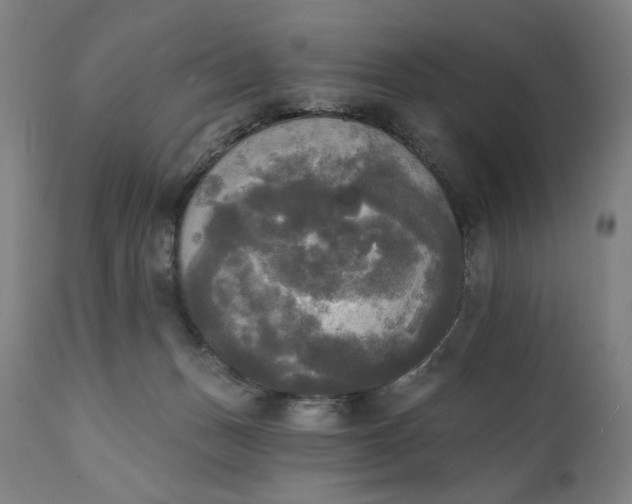 X0000111220175200907161301