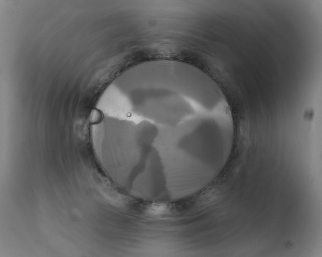 X0000111220177200907161301