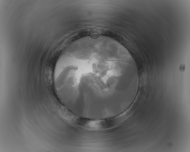 X0000111220178200907161301