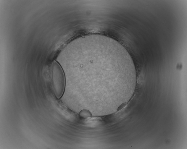 X0000111220179200907161301