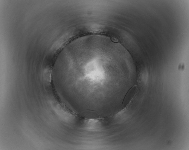 X0000111220180200907161301