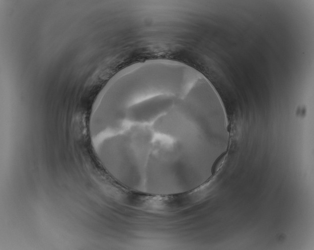 X0000111220182200907161301
