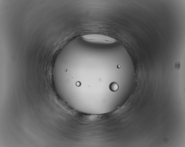 X0000111220184200907161301