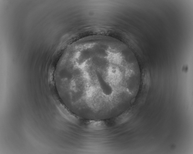 X0000111220185200907161301