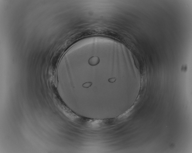 X0000111220186200907161301