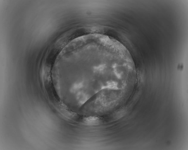 X0000111220189200907161301