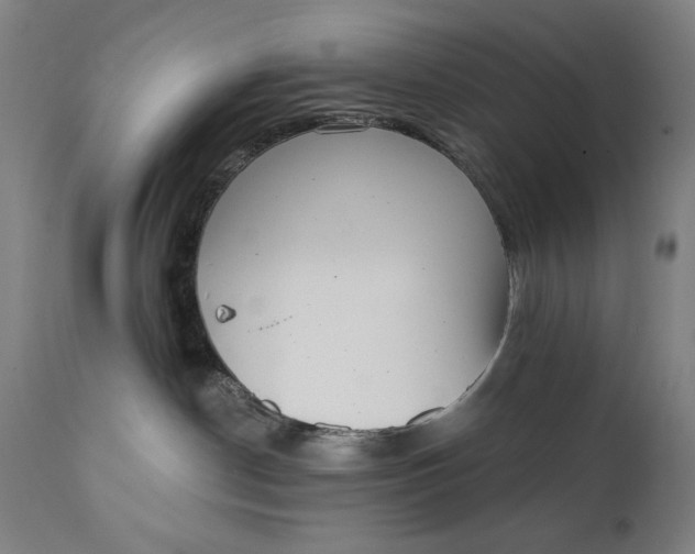 X0000111220190200907161301