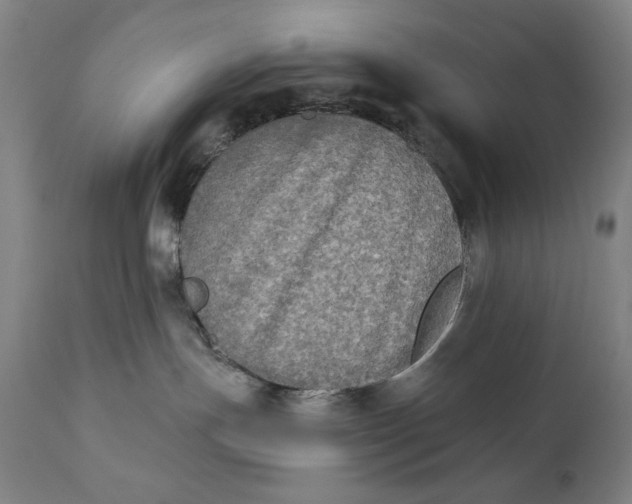 X0000111220191200907161301