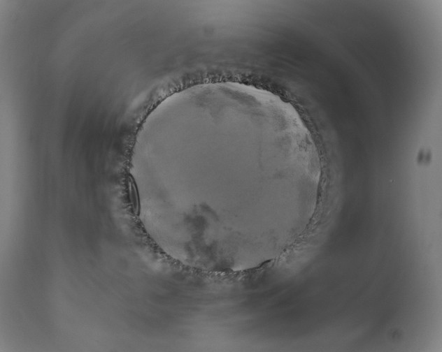 X0000111220192200907161301