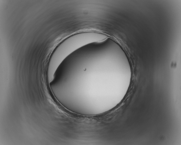 X0000111220193200907161301