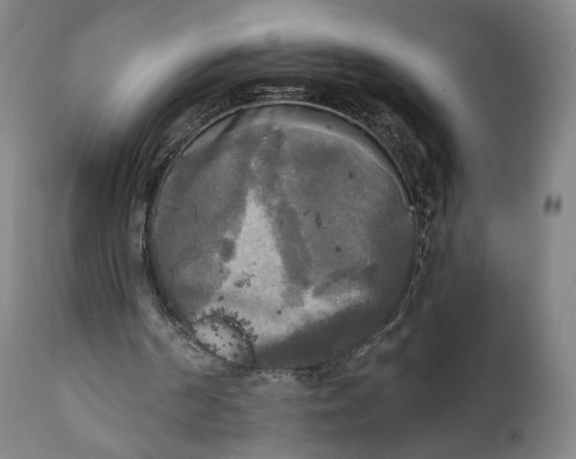 X0000111220194200907161301