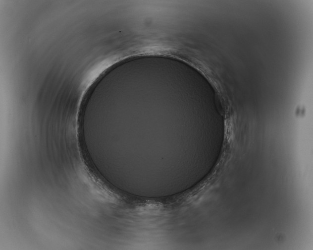 X0000111220196200907161301