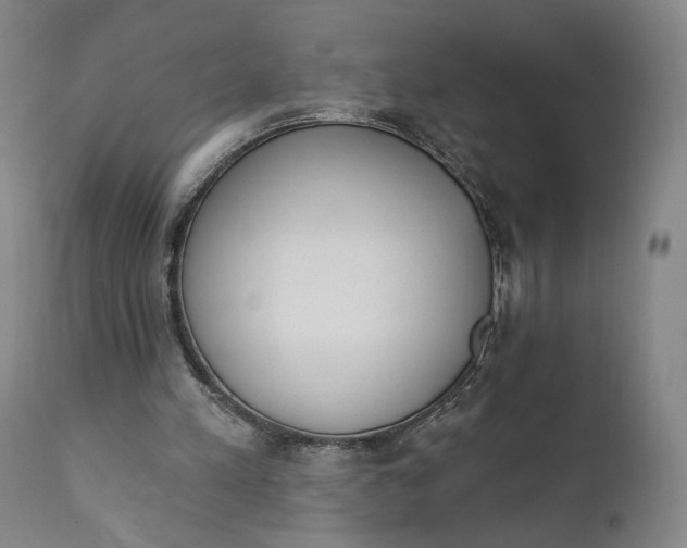 X0000111220197200907161301