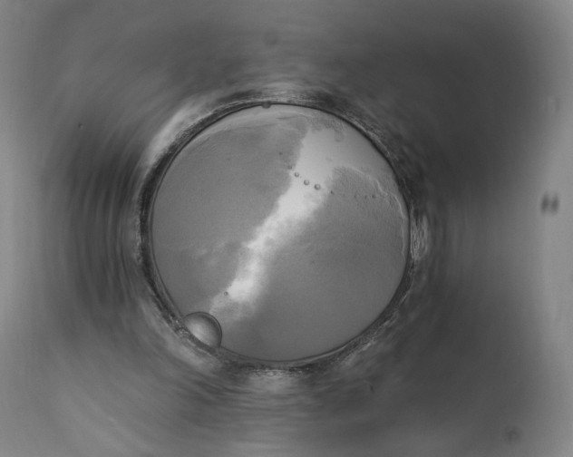 X0000111220198200907161301