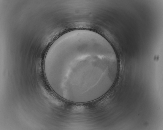 X0000111220202200907161301