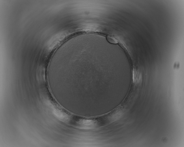 X0000111220205200907161300
