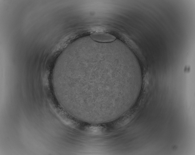 X0000111220209200907161300