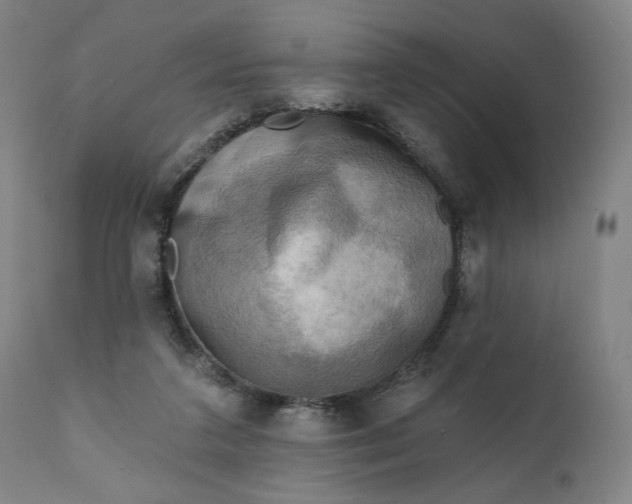 X0000111220211200907161300