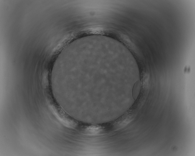 X0000111220213200907161300